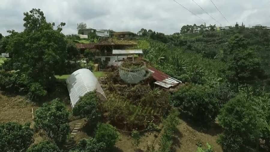 Salento and Cócora Tour + Coffee Farm from Pereira/Armenia - Salento, where coffee country feels personal