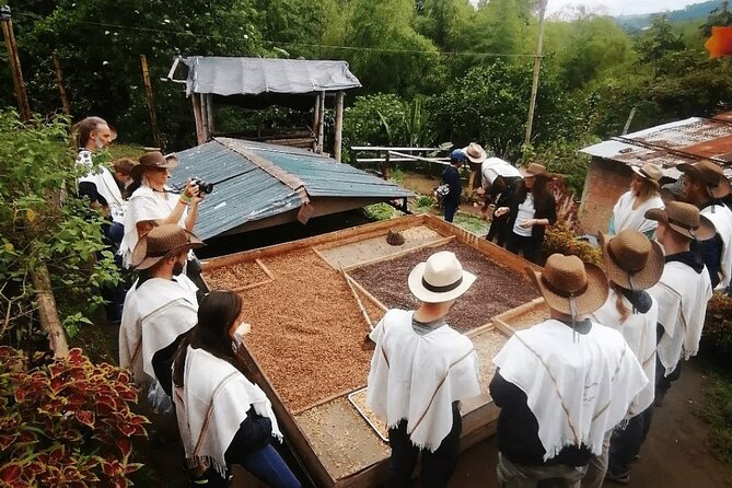 Salento and Cócora Tour plus Coffee Farm from Pereira or Armenia - Why this one-day route works