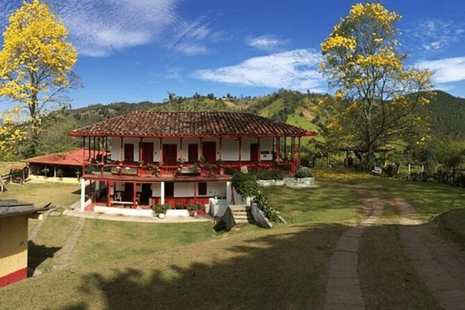 Salento and Cócora Tour plus Coffee Farm from Pereira or Armenia - Cocora Valley and the tallest wax palms