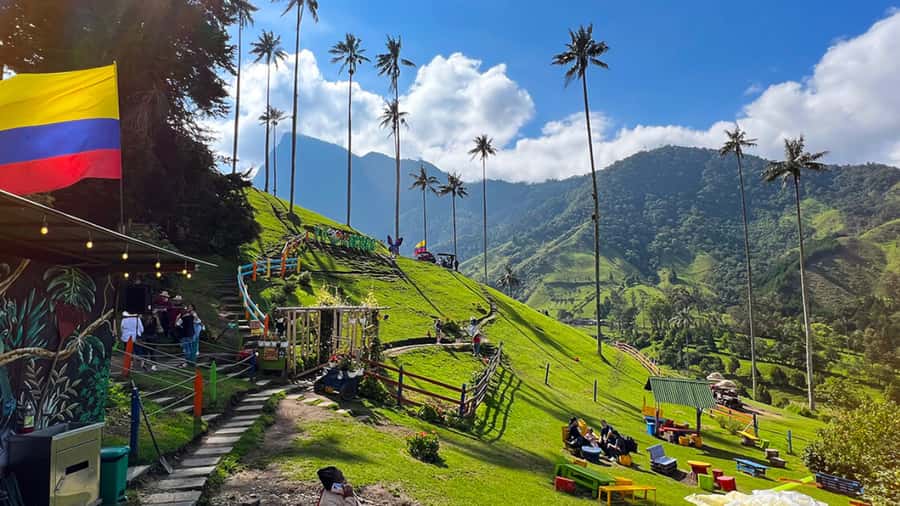 Salento, Cocora and Filandia Full Plan from Pereira/Armenia - Cocora Valley and the wax palm forest