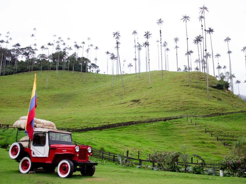 Salento, Cocora and Filandia Tour from Pereira or Armenia - Filandia adds another colorful town