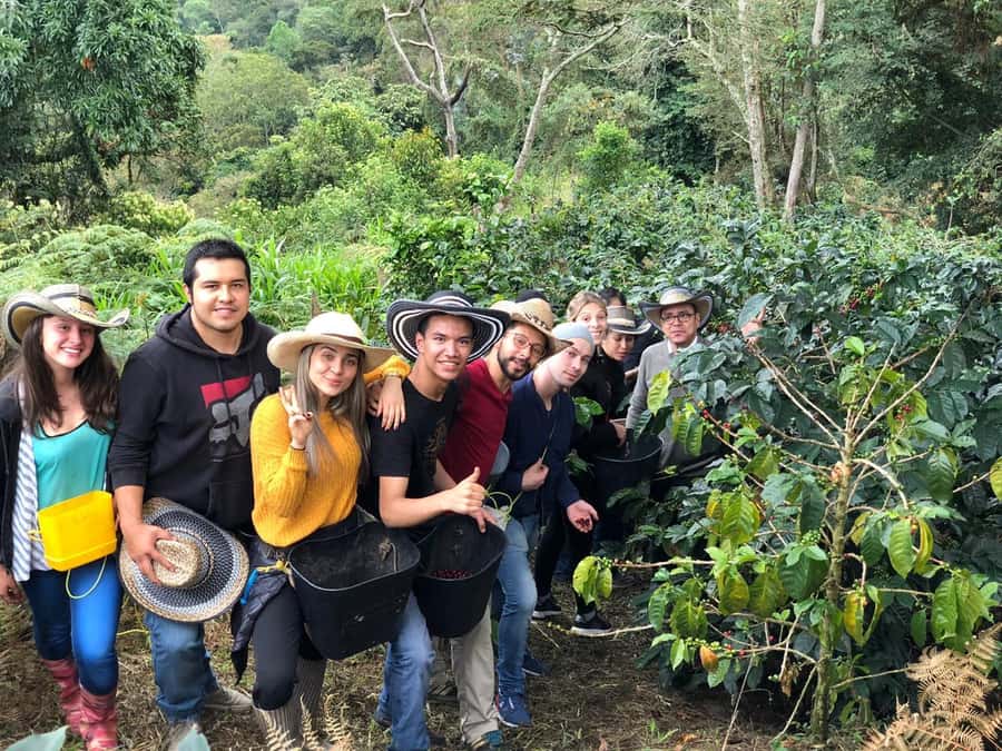Salento: Coffee Farm Tour with Tasting - Key points to know before booking