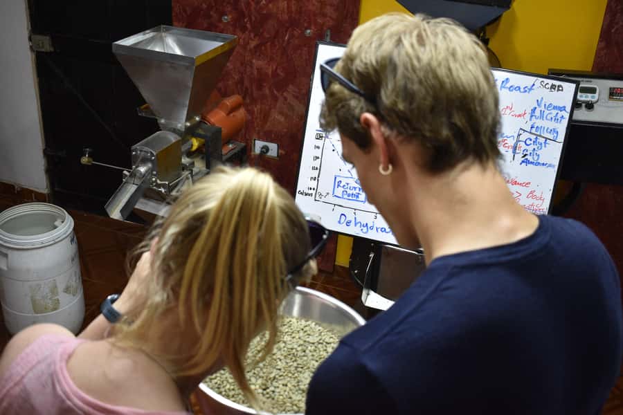 Salento: Coffee Master Roasting, Brewing and Tasting Tour - What the $52 price actually buys you