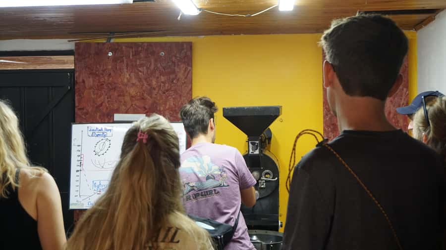 Salento: Coffee Master Roasting, Brewing and Tasting Tour - Starting with green beans and the drum roaster