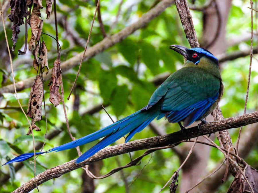 Salento: hike to learn about Birds - Key points at a glance