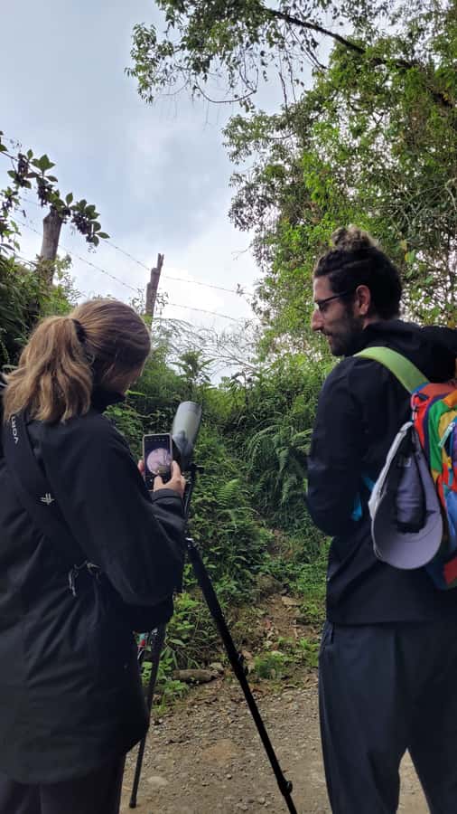 Salento: hike to learn about Birds - Starting near Salento’s cafés and streets
