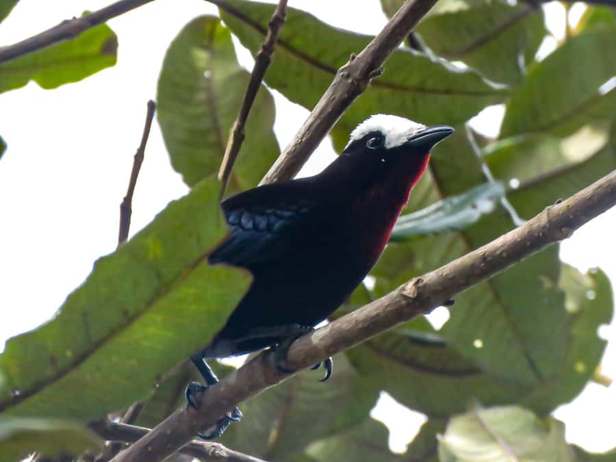 Salento: hike to learn about Birds - Why the small group of eight matters