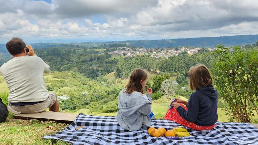Salento: hike to learn about Birds - A guided search for Andean Motmots and hummingbirds