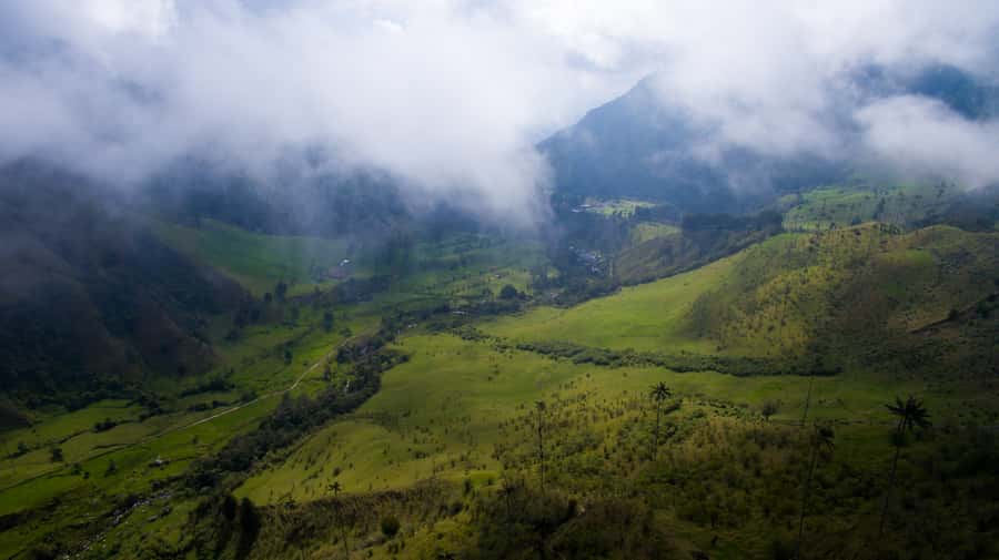 Salento/Pereira: Cocora Valley & Salento Hiking Private Tour - Key points to know before booking