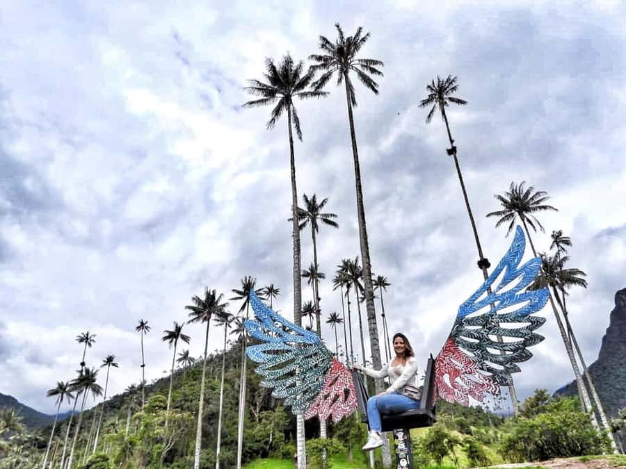 Salento/Pereira: Cocora Valley & Salento Hiking Private Tour - Why Cocora Valley is worth the effort