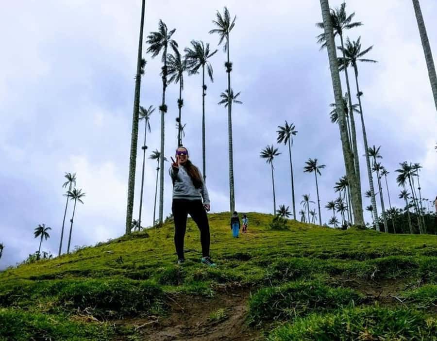 Salento/Pereira: Cocora Valley & Salento Hiking Private Tour - The viewing points and the best photo moments