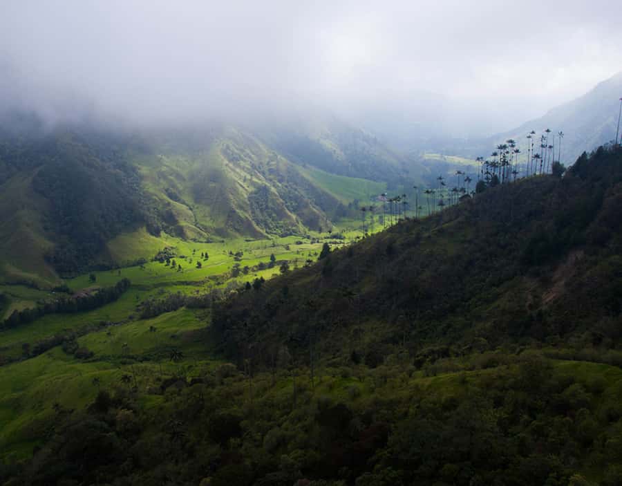 Salento/Pereira: Cocora Valley & Salento Hiking Private Tour - The traditional Willy ride and a useful warning
