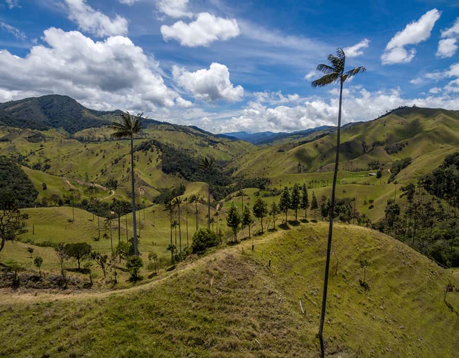 Salento/Pereira: Cocora Valley & Salento Hiking Private Tour - What the six-hour route feels like