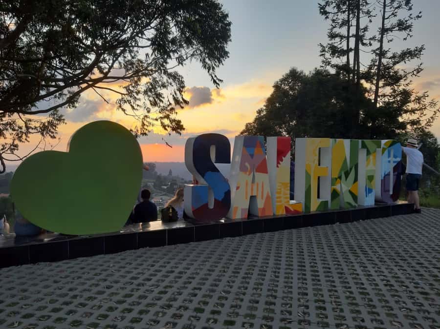 Salento: Private Cocora Valley, Salento & Coffee Farm Tour - Five things worth knowing before you go