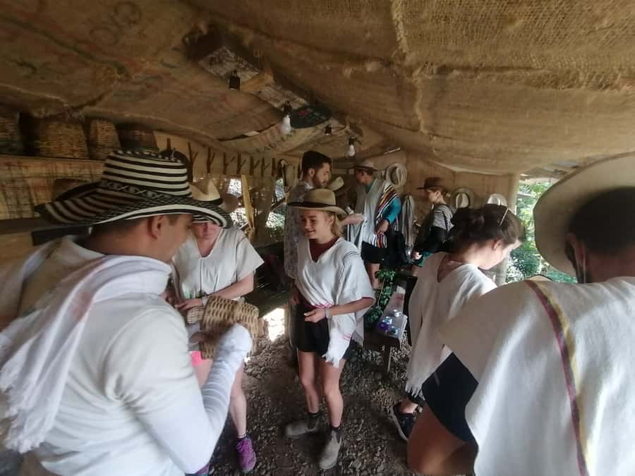 Salento: Private Cocora Valley, Salento & Coffee Farm Tour - Final verdict: book it if time matters