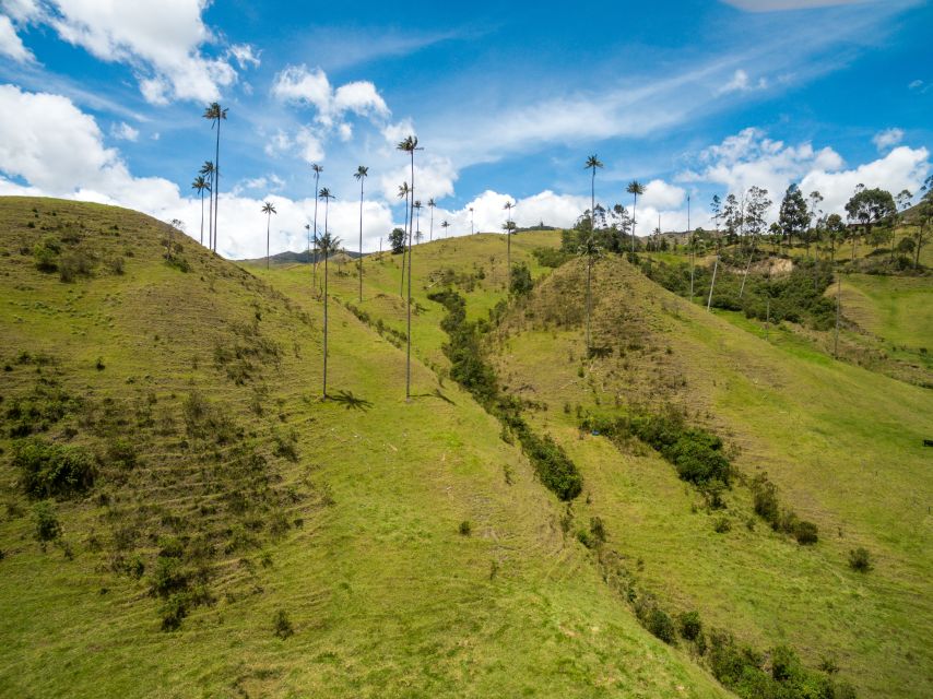 Salento: Private Cocora Valley, Salento & Coffee Farm Tour - Is $157 per person fair value?