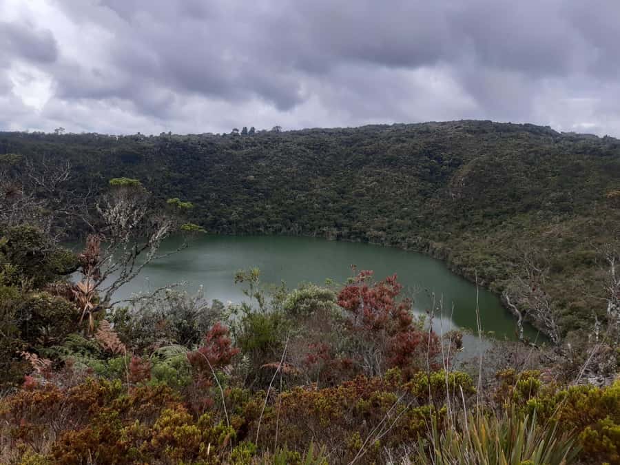 Salt Cathedral and Guatavita Lake with Lunch and Guide - Is $122 a fair price?