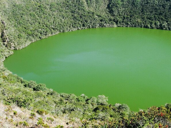 Salt Cathedral of Zipaquirá & Lake Guatavita: Private or Shared - Key points to know before booking