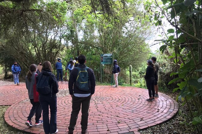Salt Cathedral of Zipaquirá Tours: Multiple Options Available - Adding Guatavita Lake for a fuller day