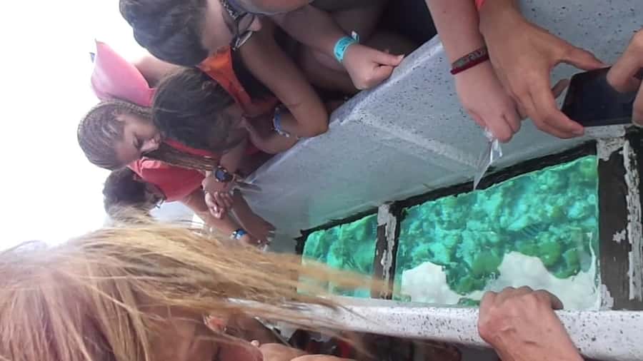 San Andres: Acuario Key Premium Tour - A simple way to see the sea without swimming