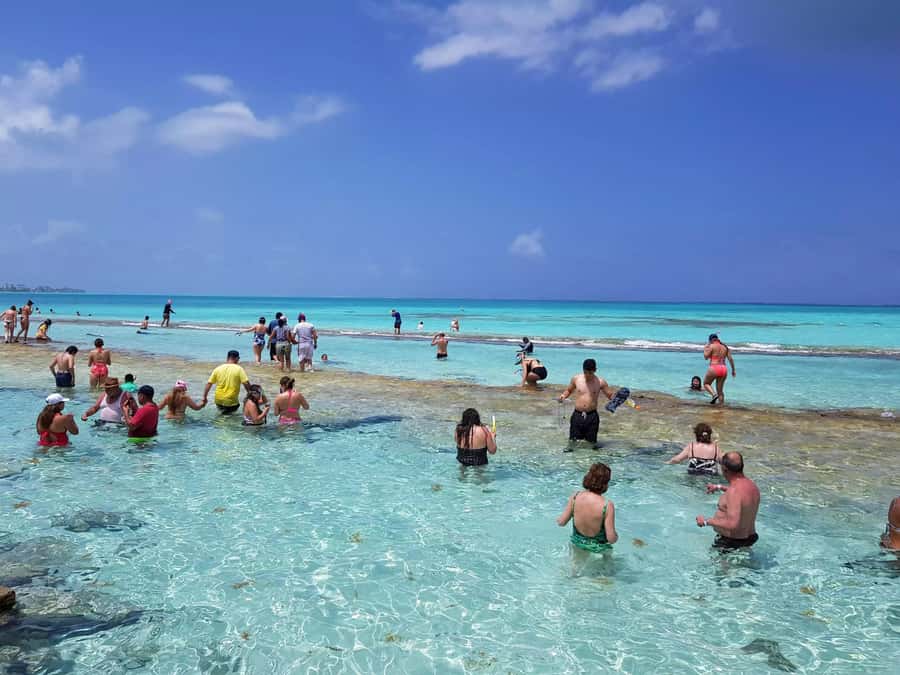 San Andres: Acuario Key Premium Tour - Old Point Mangroves, a change of scenery