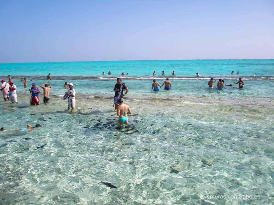 San Andres: Acuario Key Premium Tour - Who will enjoy this San Andrés boat trip