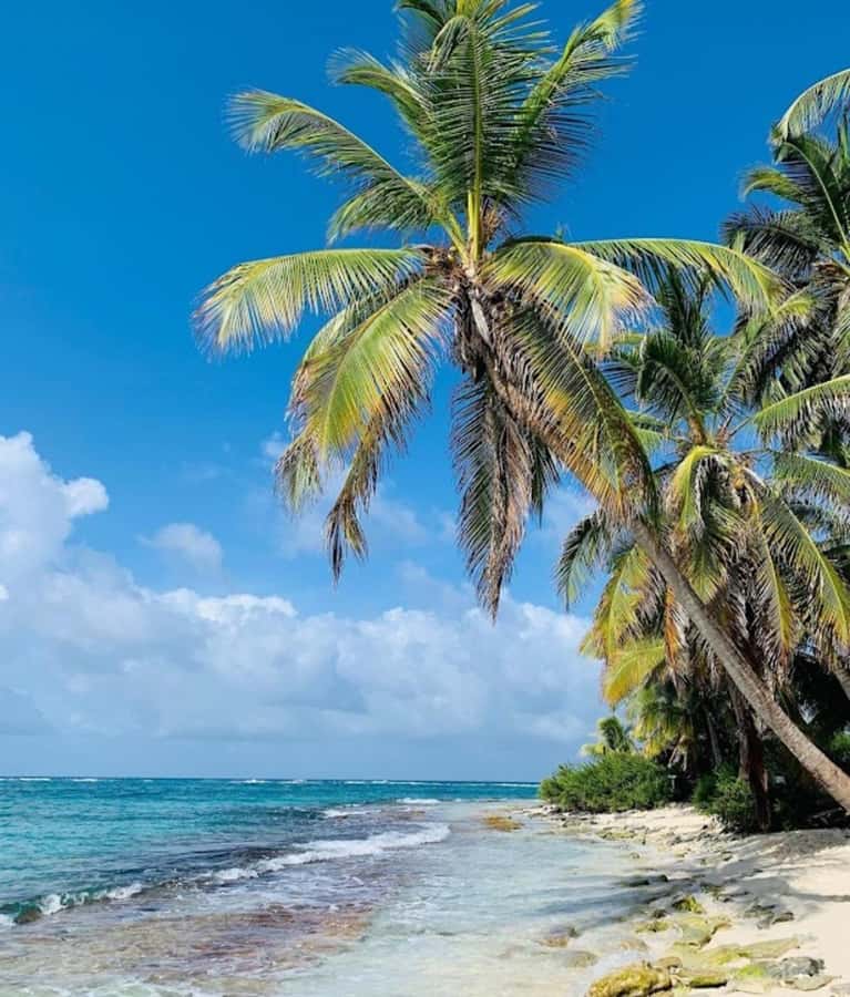 SAN ANDRES: BOAT TRANSFER + JOHNNY CAY - What your four hours actually look like
