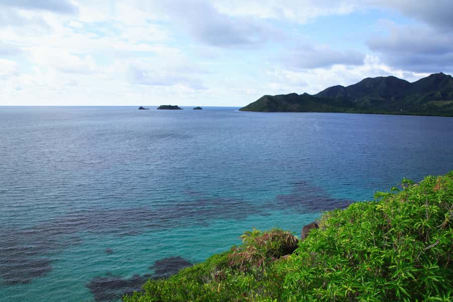 San Andrés: Guided Cays and Mangroves Tour - Key points to know before you go