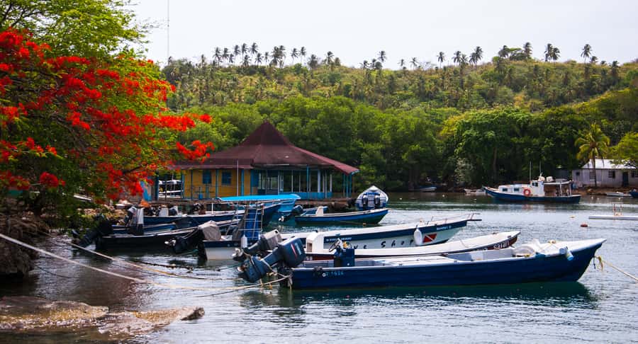 San Andrés: Guided Cays and Mangroves Tour - Rose Cay, the natural aquarium