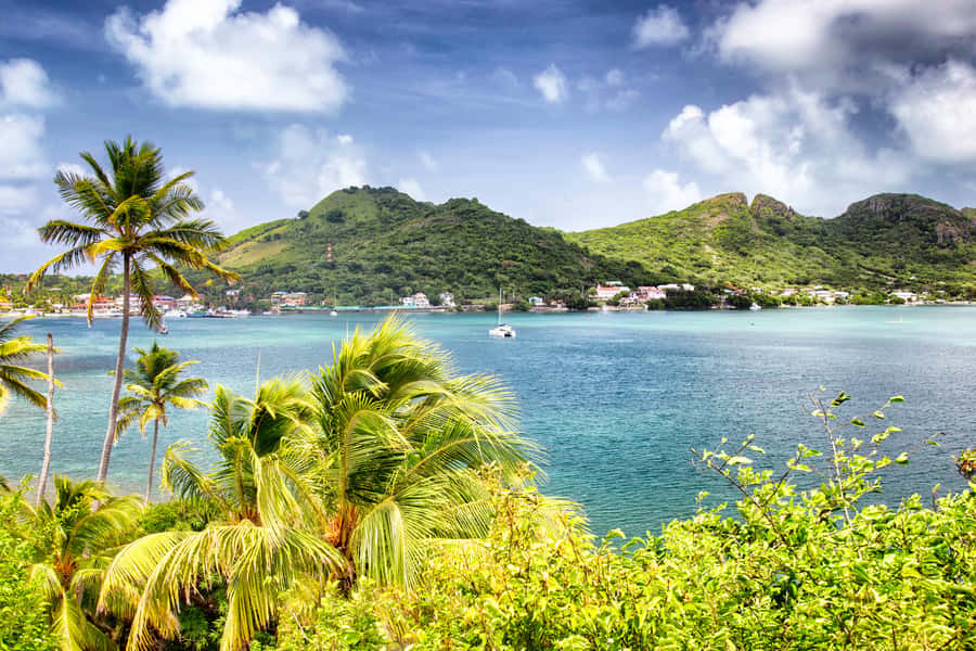 San Andrés: Guided Cays and Mangroves Tour - Starting at Casa de la Cultura