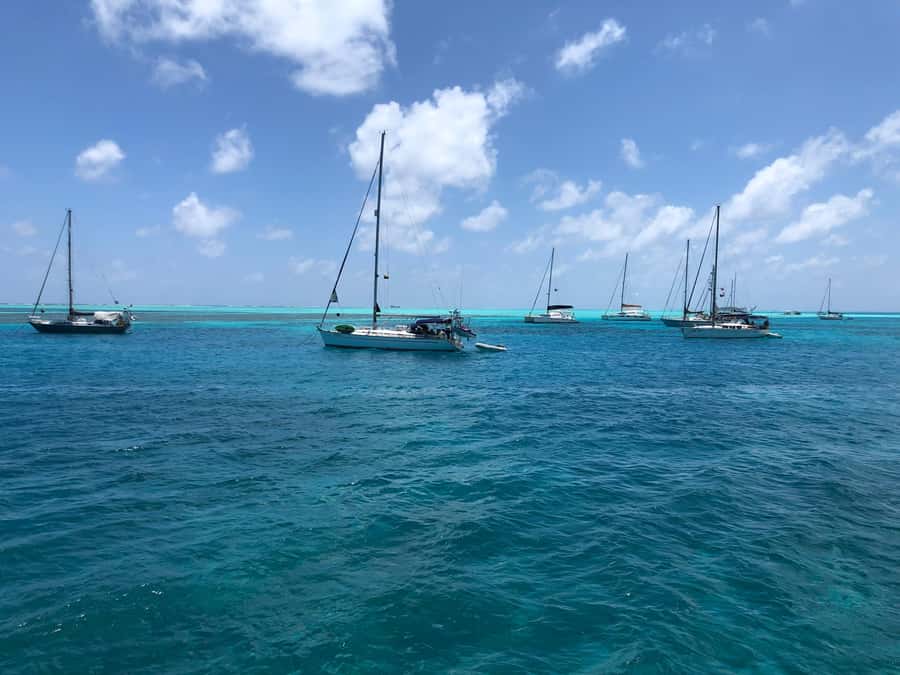 San Andrés: Island Pontoon Boat Tour - Who will enjoy this outing most