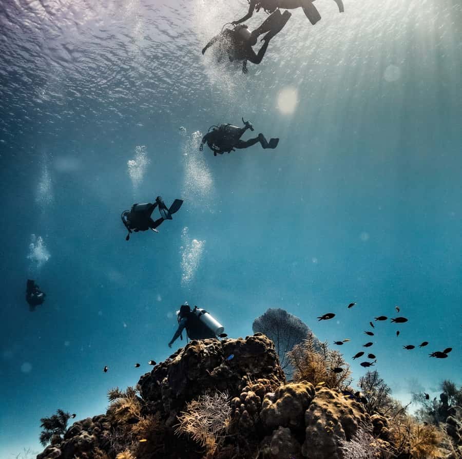 San Andres: Scuba Diving Experience with Hotel Pickup - Why this San Andrés experience works for beginners