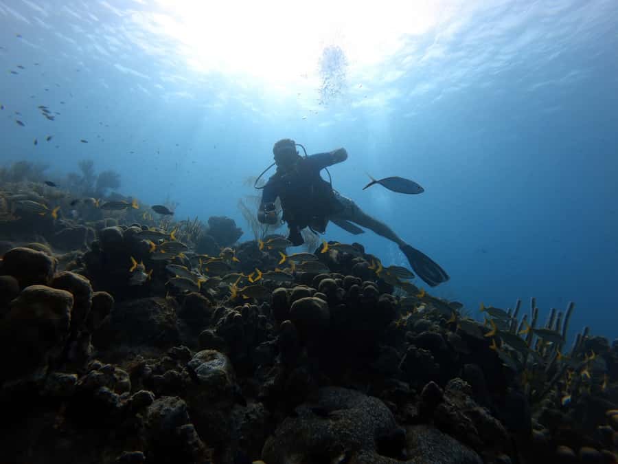 San Andres: Scuba Diving Experience with Hotel Pickup - Learning the equipment at Hans dive shop
