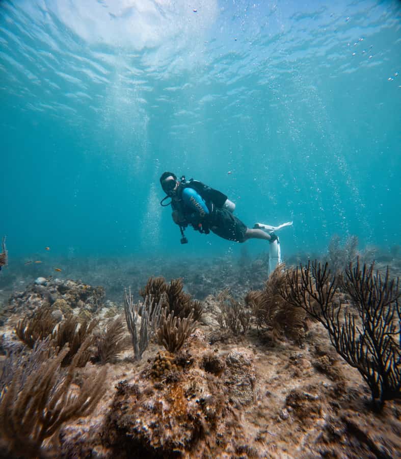 San Andres: Scuba Diving Experience with Hotel Pickup - Equipment, clothing, and the optional photo service
