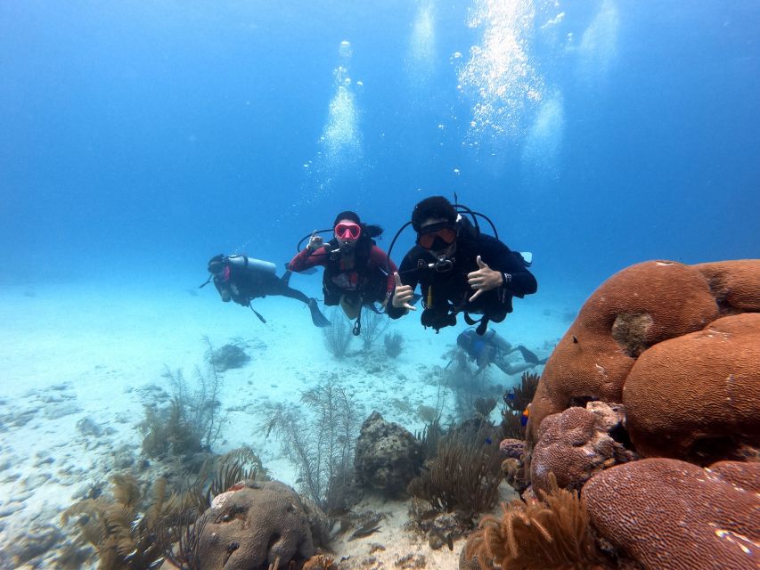 San Andres: Scuba Diving Experience with Hotel Pickup - Is $50 a fair price?