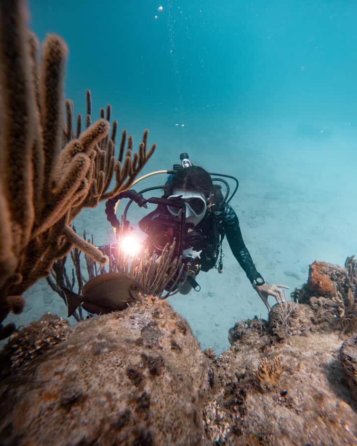 San Andres: Scuba Diving Experience with Hotel Pickup - Who should book this experience
