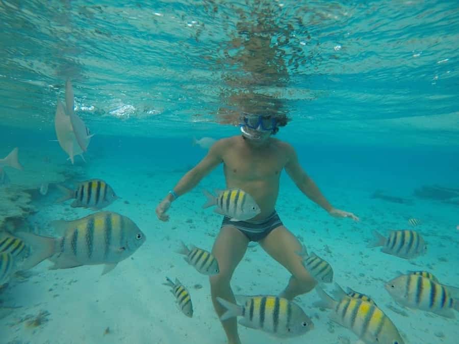 San Andres: Transfer by Boat + Natural Aquarium - Free time at the Natural Aquarium