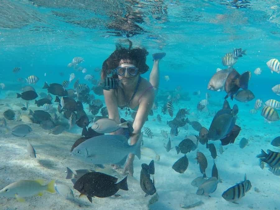 San Andres: Transfer by Boat + Natural Aquarium - Meeting at Muelle de la Policía or Muelle Portofino