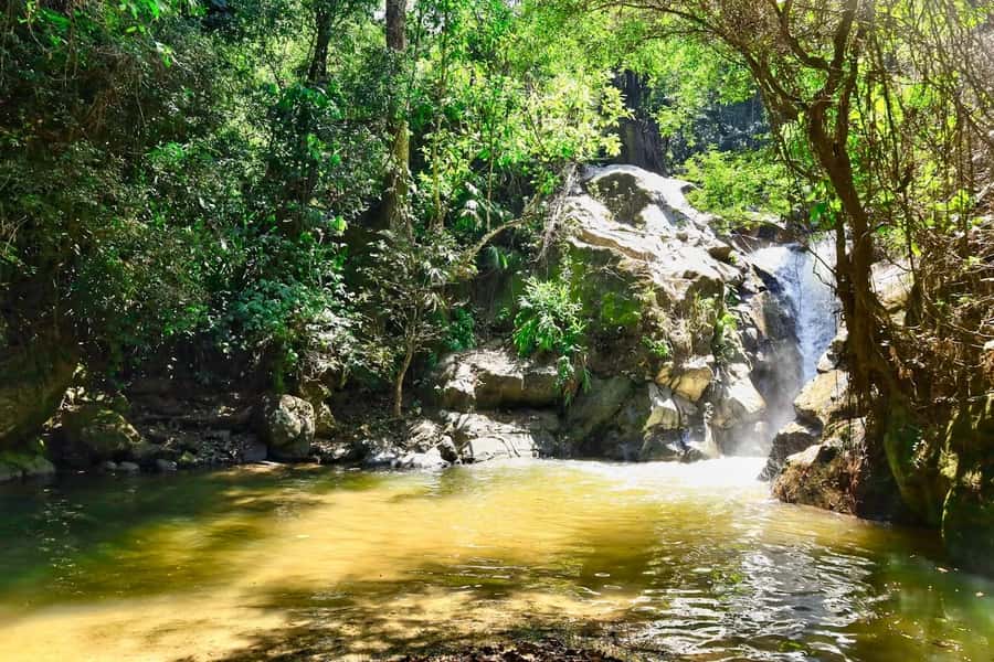 Santa Marta: Minca Coffee, Cocoa, & Waterfall Full-Day Trip - A bamboo restaurant with a view over Minca