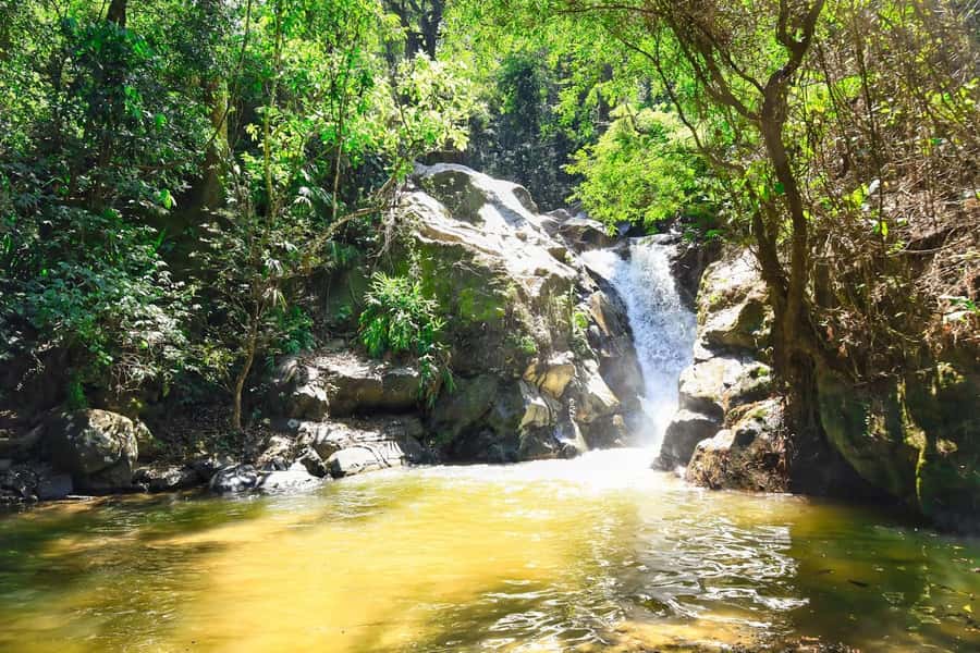 Santa Marta: Minca Coffee, Cocoa, & Waterfall Full-Day Trip - How demanding is the walking?
