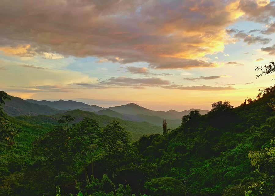 Santa Marta: Minca Coffee, Cocoa, & Waterfall Full-Day Trip - What the guide adds to the day