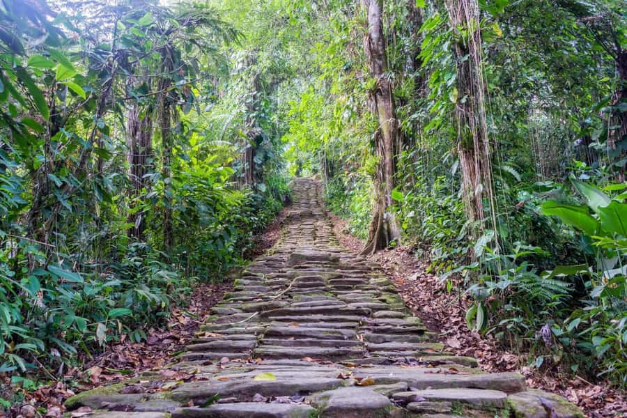 Santa Marta: Multi-Day Trek to The Lost City - The first trail to El Mamey and Las Tres Cruces