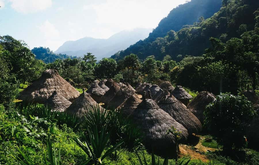 Santa Marta: Multi-Day Trek to The Lost City - Food, water, beds, and camp life