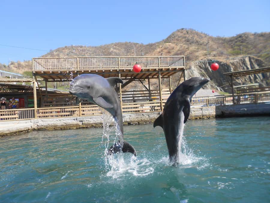 Santa Marta: Museum of the Sea and Playa Blanca Beach Tour - The aquarium and Museum of the Sea