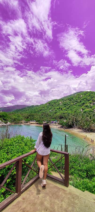 Santa Marta: Playa Cristal in Tayrona Parque Day Tour - What happens at the Tayrona entrance