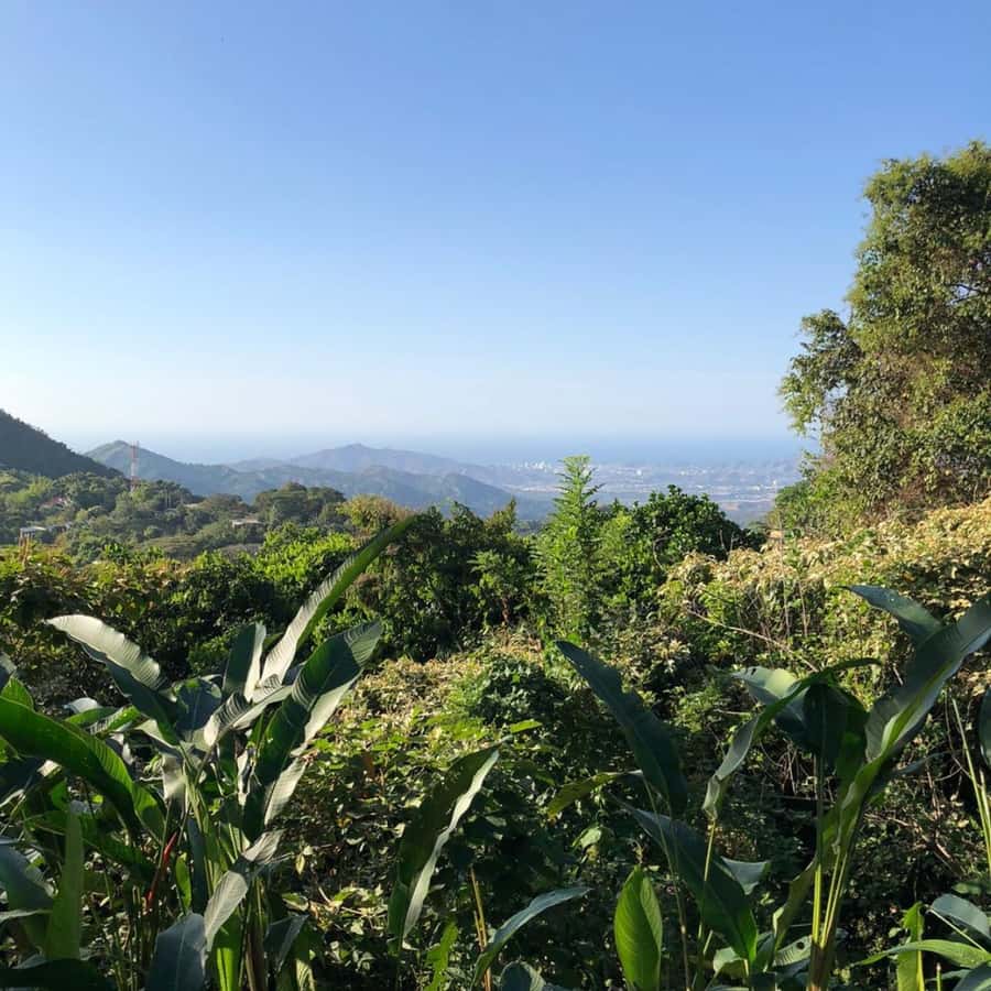 Santa Marta: Trekking in Minca Complete Waterfall Circuit - Oído del Mundo Waterfall and the first water stop