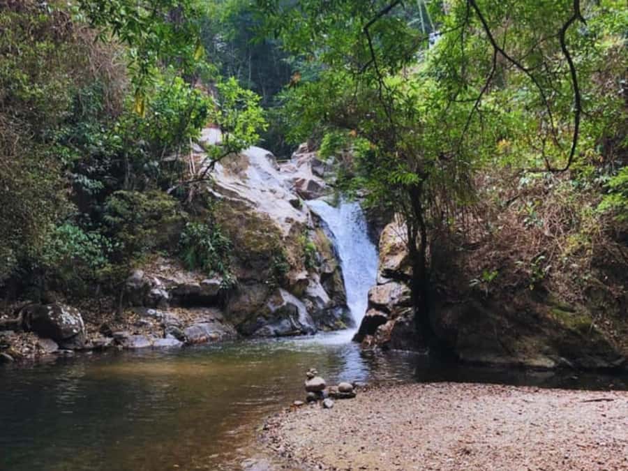 Santa Marta: Trekking in Minca Complete Waterfall Circuit - Coffee, cacao, and the working mountains