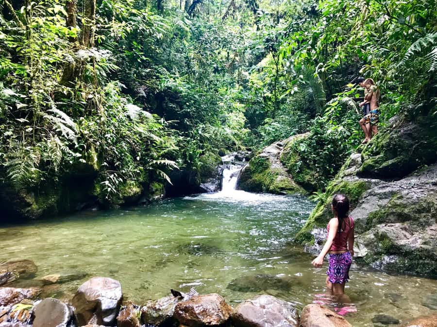 Santa Rita Waterfall and Salento Private Tour - A forest walk with a better story than a standard viewpoint