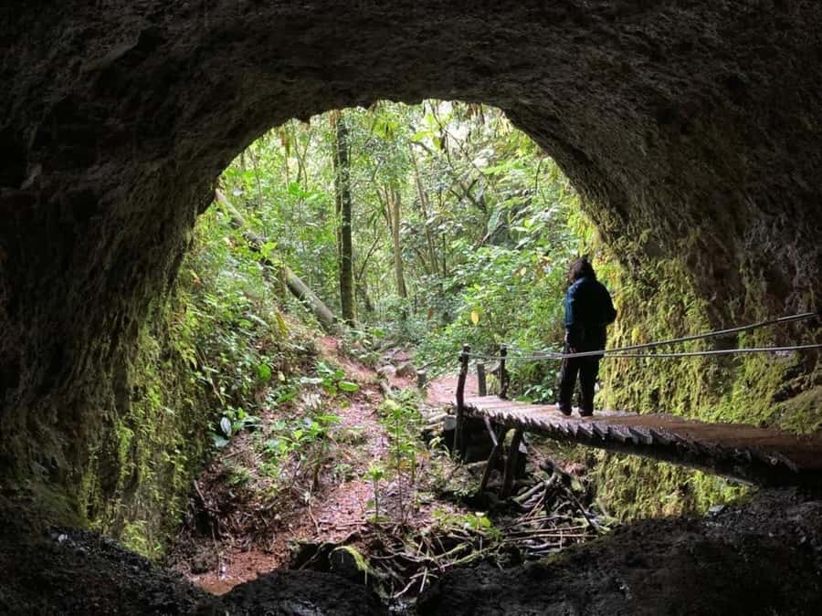 Santa Rita Waterfall and Salento Private Tour - Why the guides make a real difference