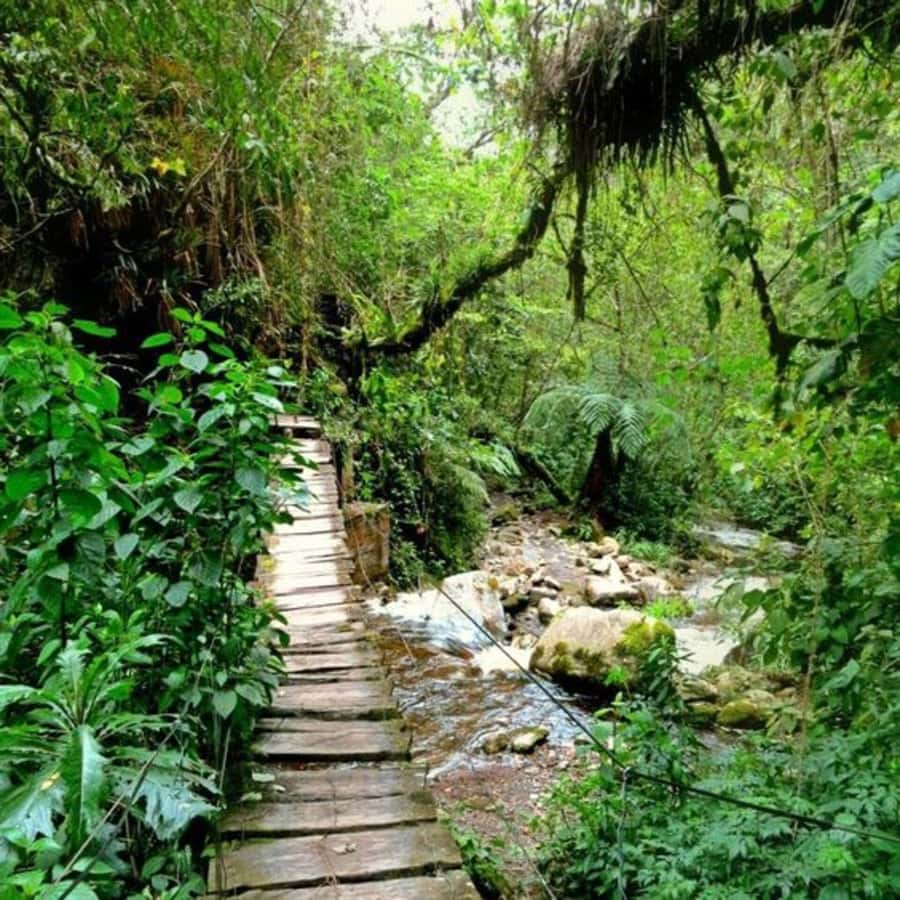 Santa Rita Waterfall and Salento Private Tour - Is $63 per person a fair price?